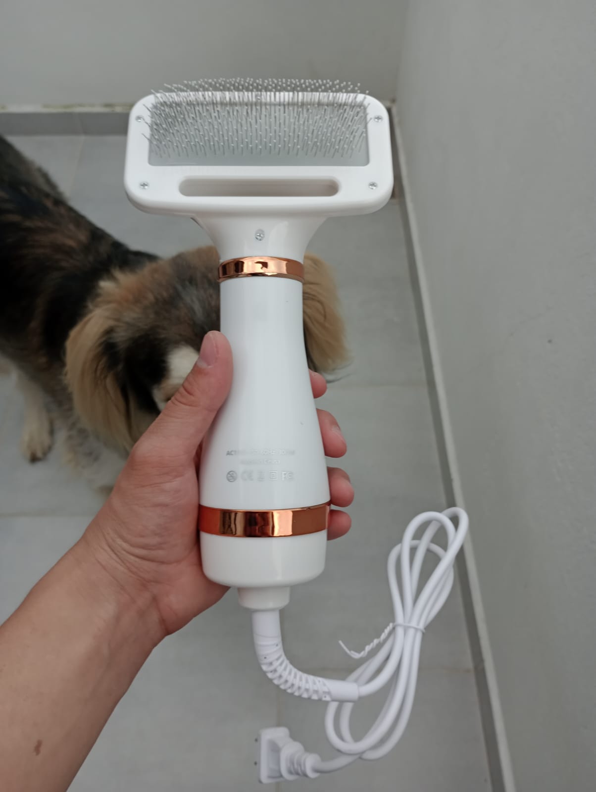 Cepillo secador para tu mascota